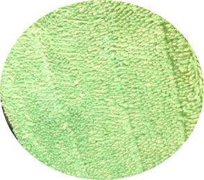 Ponga verde la cabeza mojada torcida de los cojines de la fregona de la limpieza de la microfibra de la puntada del doblez 13*47