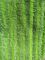 El verde torció los cojines mojados 14*48 de la fregona de la microfibra del bolsillo de la tela de Oxford del doblez